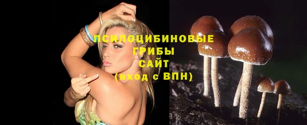 гидропоника Чекалин