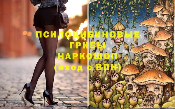 ПСИЛОЦИБИНОВЫЕ ГРИБЫ Чердынь