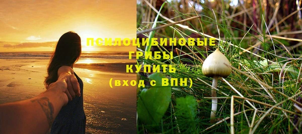 ALPHA-PVP Пролетарск