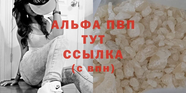 трава Шарыпово