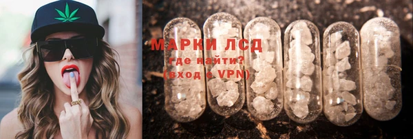 ПСИЛОЦИБИНОВЫЕ ГРИБЫ Чердынь