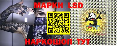 шишки Донской