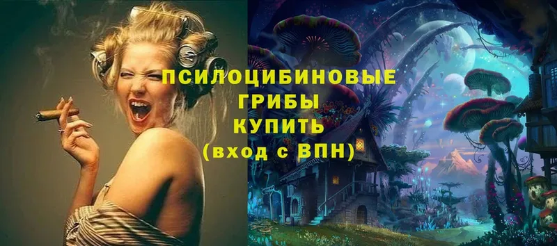 Галлюциногенные грибы мицелий  Хасавюрт 