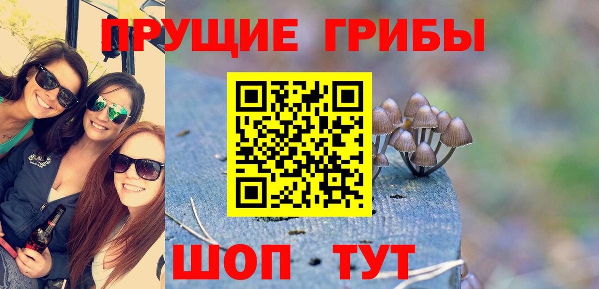 Галлюциногенные грибы Magic Shrooms Хасавюрт