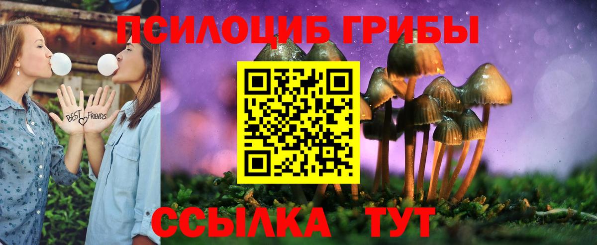 Псилоцибиновые грибы Magic Shrooms  Вход с VPN  Галлюциногенные грибы Psilocybe  Хасавюрт 